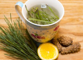 Хвойный чай