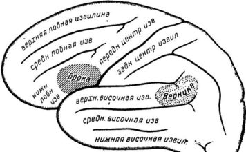 Кровит из заднего прохода у женщины: что это может быть? речевые зоны мозга