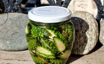 Сосновые шишки для лечения инсульта