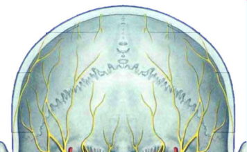 Невралгия затылочная