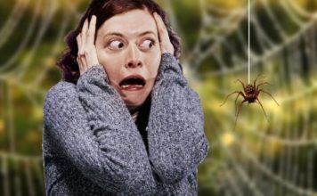 Бронхоспазм: что это такое, симптомы у взрослых и методы лечения