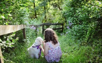 Домашние питомцы: что делать, если они умирают?