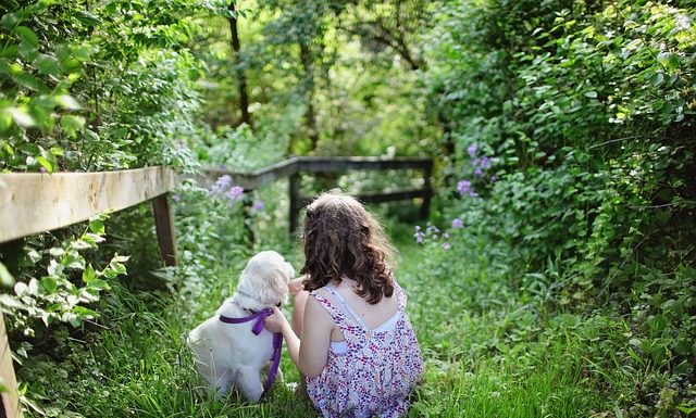 Домашние питомцы: что делать, если они умирают?