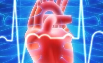 Болезни сердца — виды, симптомы и причины наиболее частых из них