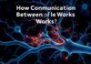 Cómo Funciona la Comunicación entre las Neuronas (Sinapsis): The Tiny Conversations That Shape Our Thoughts