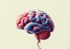 El Dolor: Cómo el Cerebro Interpreta y Procesa las Señales