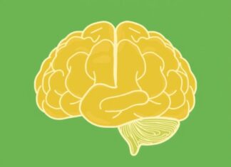 Neuroplasticity: How Your Brain Can Change and Adapt Throughout Life Neuroplasticity: How Your Brain Can Change and Adapt Throughout Life