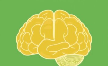 Neuroplasticity: How Your Brain Can Change and Adapt Throughout Life Neuroplasticity: How Your Brain Can Change and Adapt Throughout Life