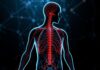 Autonome Neuropathie: When the Unconscious Nervous System Fails — What It Means, How It Feels, and What You Can Do