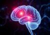 Mapping Minds: Latest Research in Neuroscience — Promising Discoveries and Treatments