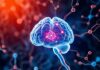 The Invisible Conversation: How Alcohol and Drugs Hijack Neurotransmission