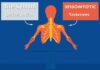 The Sympathetic and Parasympathetic Nervous Systems: A Balancing Act
