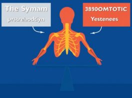 The Sympathetic and Parasympathetic Nervous Systems: A Balancing Act