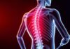 How a Spinal Cord Injury Changes the Body: Understanding "Comment une lésion de la moelle épinière affecte-t-elle le corps ?"