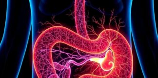 The Enteric Nervous System: Your "Second Brain" in the Gut