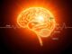 Brainwaves Explained: Delta, Theta, Alpha, Beta, and Gamma — A Friendly Guide to the Rhythm of Your Mind