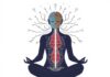 Comment la méditation modifie-t-elle la structure du cerveau? — Wie Meditation das Gehirn umgestaltet
