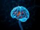 Consecuencias del Consumo de Alcohol y Drogas en el Sistema Nervioso: What Happens Inside Your Brain Consecuencias del Consumo de Alcohol y Drogas en el Sistema Nervioso: What Happens Inside Your Brain
