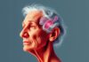 Demenz und Alzheimer: Der neurologische Verfall — A Compassionate, Clear Guide