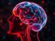 Neurotransmetteurs: Das faszinierende Zusammenspiel von dopamine, sérotonine und noradrénaline