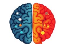 El Glutamato y el GABA: El Yin y el Yang del Cerebro