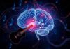 Musicoterapia y su Impacto en la Actividad Cerebral: How Sound Rewires the Mind