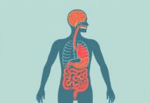 The Gut-Brain Axis: How Your Digestive System Affects Your Mood