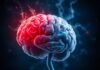 Wie chronischer Stress das Gehirn verändert — Comment le stress chronique impacte-t-il le cerveau ?