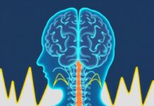 How the Brain Processes Pain Signals: A Guided Journey from Nerve Ending to Perception