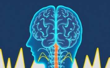How the Brain Processes Pain Signals: A Guided Journey from Nerve Ending to Perception How the Brain Processes Pain Signals: A Guided Journey from Nerve Ending to Perception