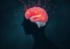 El Efecto del Estrés Crónico en el Cerebro y Cómo Combatirlo
