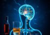 Wie Alkohol und Drogen das Nervensystem schädigen — A clear guide to what happens inside your brain and nerves