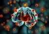 Neurotransmitters Uncovered: The Chemical Language of Joy and Stress (Neurotransmitter im Überblick: Botenstoffe des Glücks und Stresses)