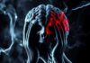 Angst und Panik: What Happens in the Brain?