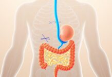 El Sistema Nervioso Entérico: El "Segundo Cerebro" en tu Intestino