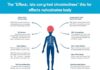 When Your Body Is Under Siege: The Hidden Ways Chronic Stress Rewires the Brain and Undermines Health