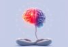 Meditación y Mindfulness: Su Impacto en la Estructura Cerebral — How Meditation and Mindfulness Reshape the Brain