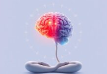 Meditación y Mindfulness: Su Impacto en la Estructura Cerebral — How Meditation and Mindfulness Reshape the Brain