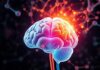 Understanding Neurotransmitters: Dopamine, Serotonin, and More — The Brain's Chemical Conversations