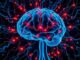 Neuroplasticity: How Our Brain Stays Moldable for a Lifetime (Neuroplastizität: So formbar ist unser Gehirn ein Leben lang) Neuroplasticity: How Our Brain Stays Moldable for a Lifetime (Neuroplastizität: So formbar ist unser Gehirn ein Leben lang)