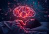 La Importancia del Sueño para la Regeneración Neuronal: Por qué dormir bien es invertir en tu cerebro