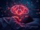 La Importancia del Sueño para la Regeneración Neuronal: Por qué dormir bien es invertir en tu cerebro